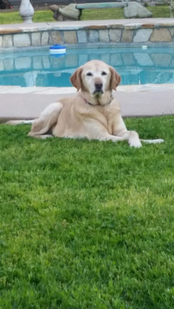 Slide of Joe Gray's Plumbing