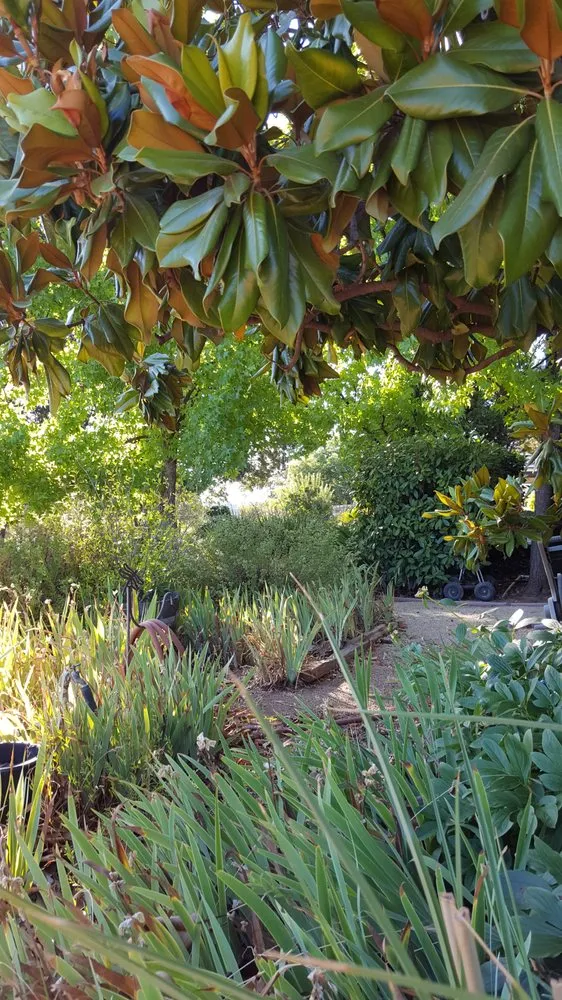 Affordable plumbing repair service in Somerset, CA - John Herrmann's Landscaping & Maintenance
