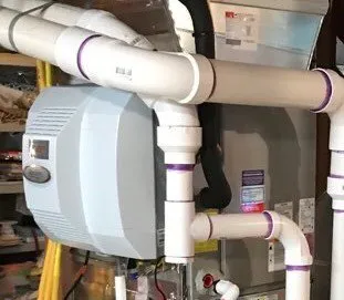 Slide of John Nugent & Sons