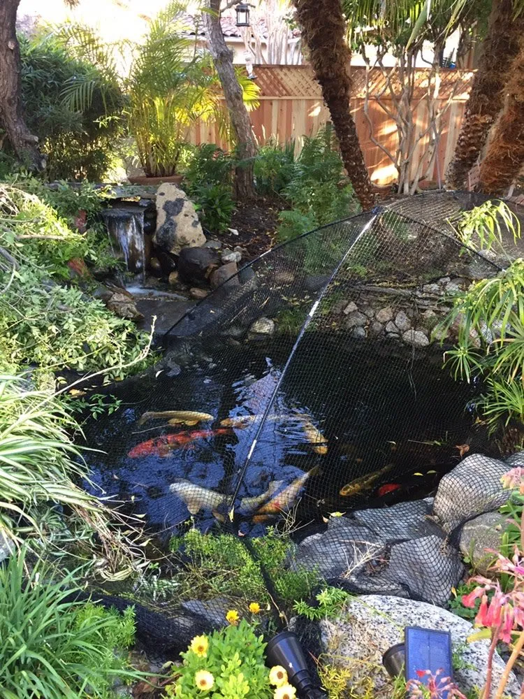 Top-rated water heater service in Lake Forest, CA by John Stevenson Plumbing, Heating & Air