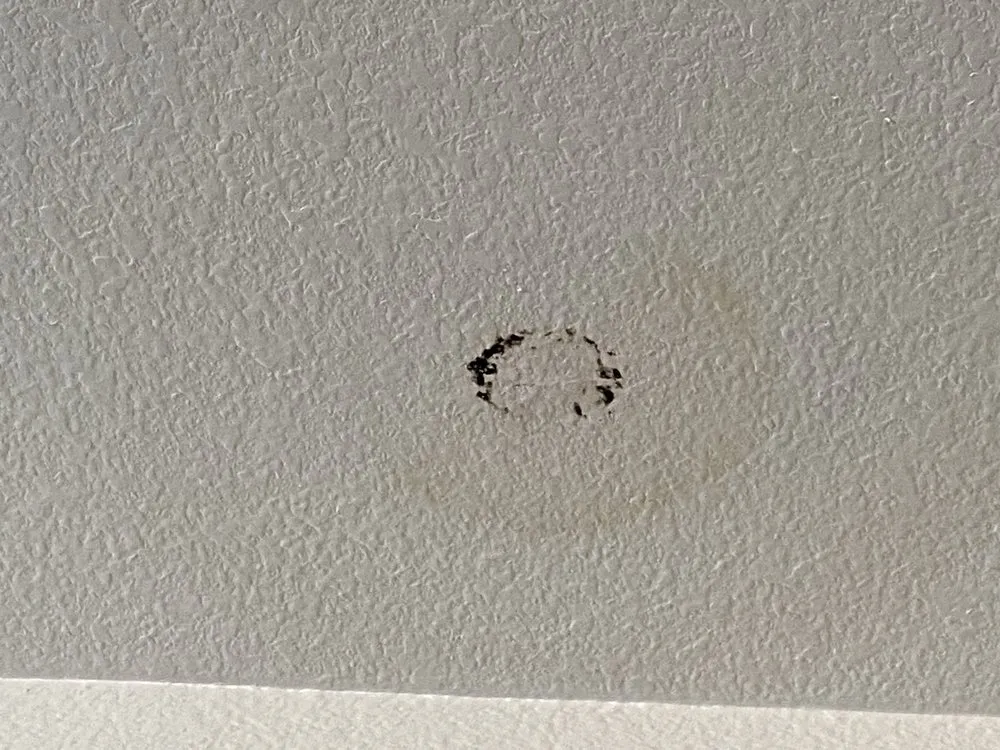 Slide of John the Plumber