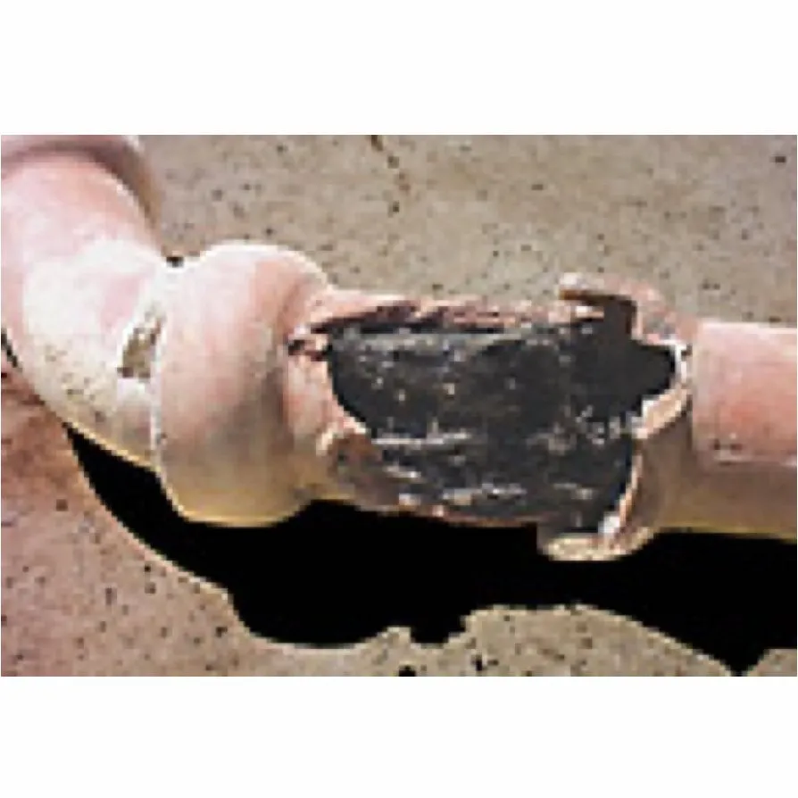 Slide of John White's Rooter Connection