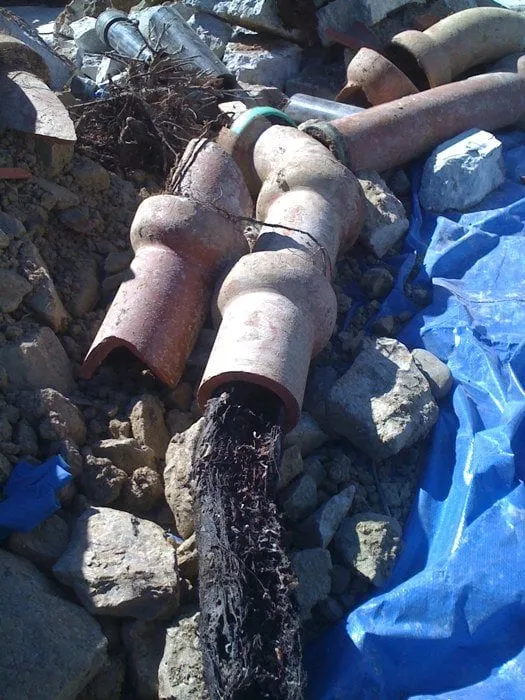 Slide of Johnny Carrillo Plumbing