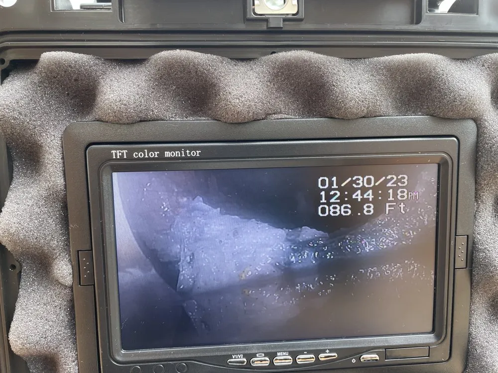 Slide of Johnny On The Spot