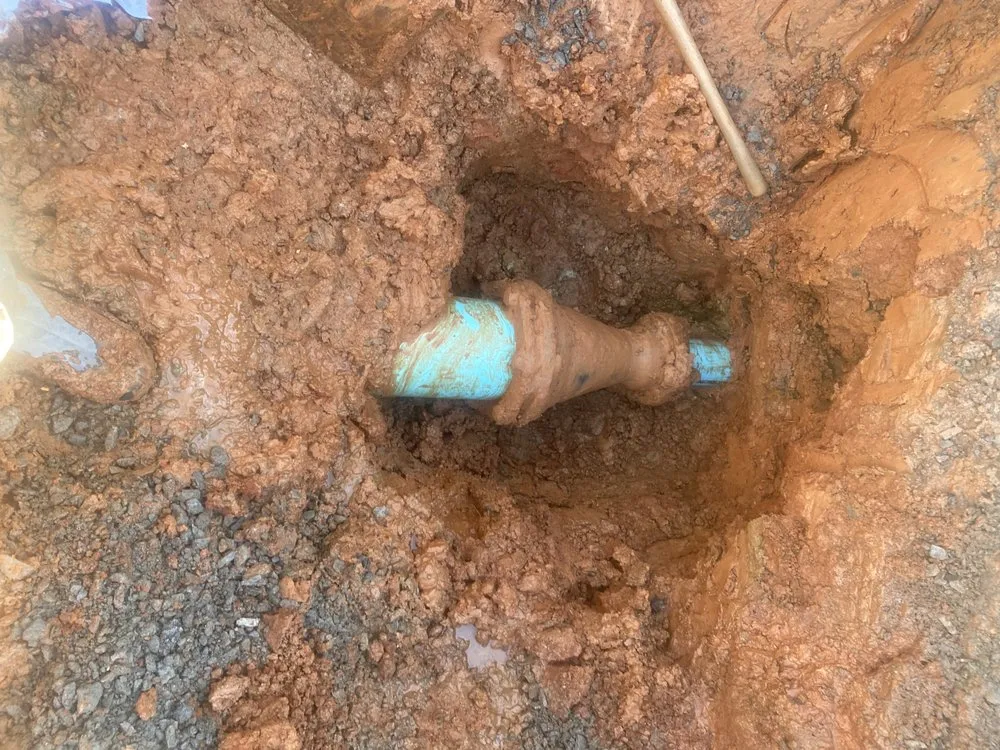 Slide of Johnny On The Spot