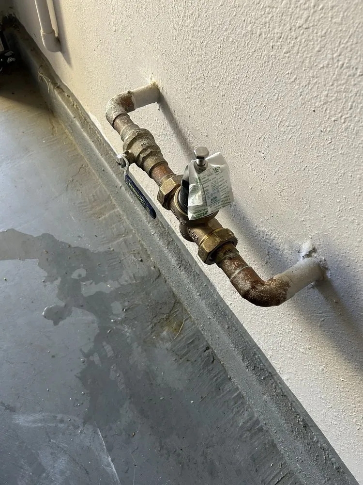 Slide of Johnny On The Spot