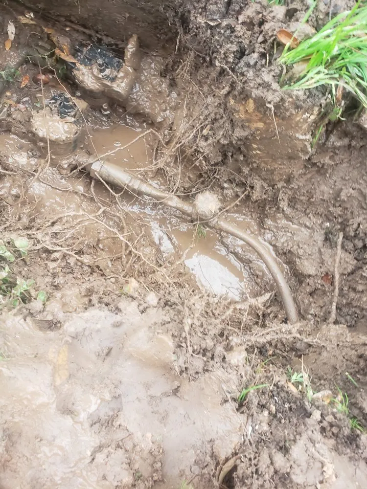 Slide of Johnny Rooter Plumbing