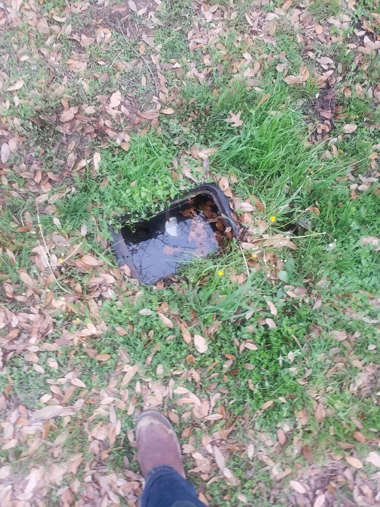 Slide of Johnny Rooter Plumbing