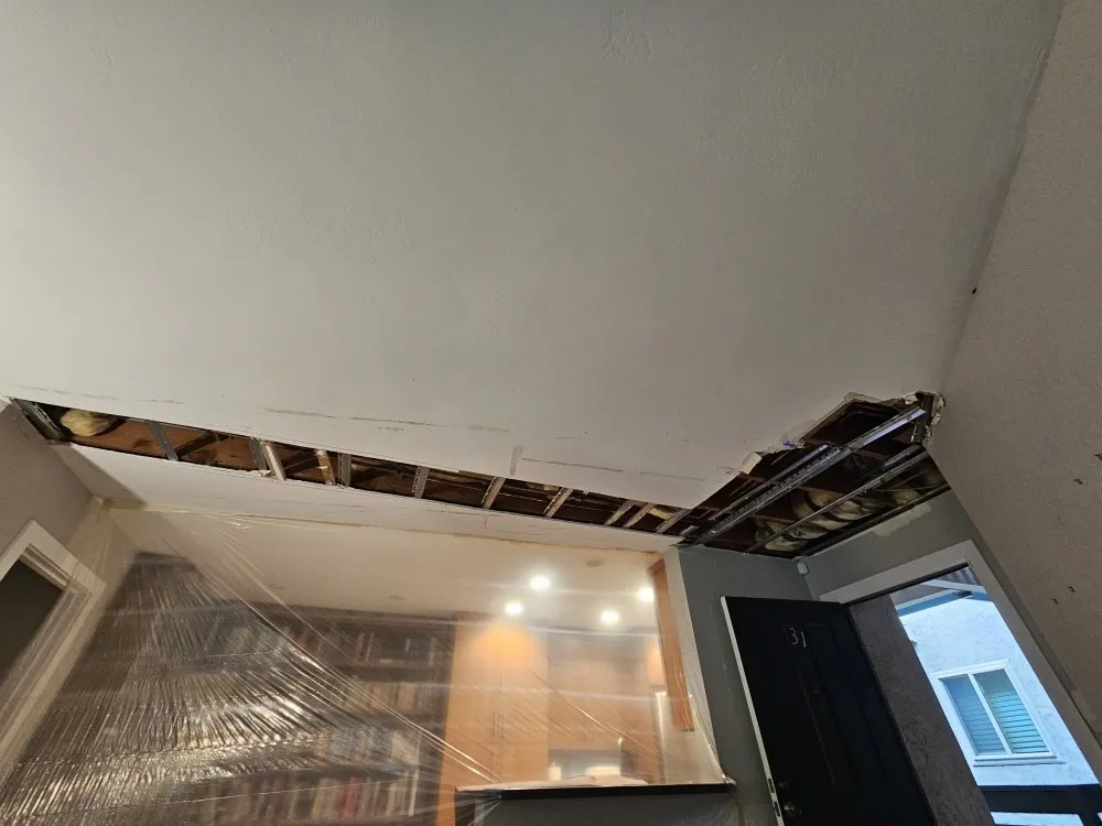 Slide of Johnny the handyman