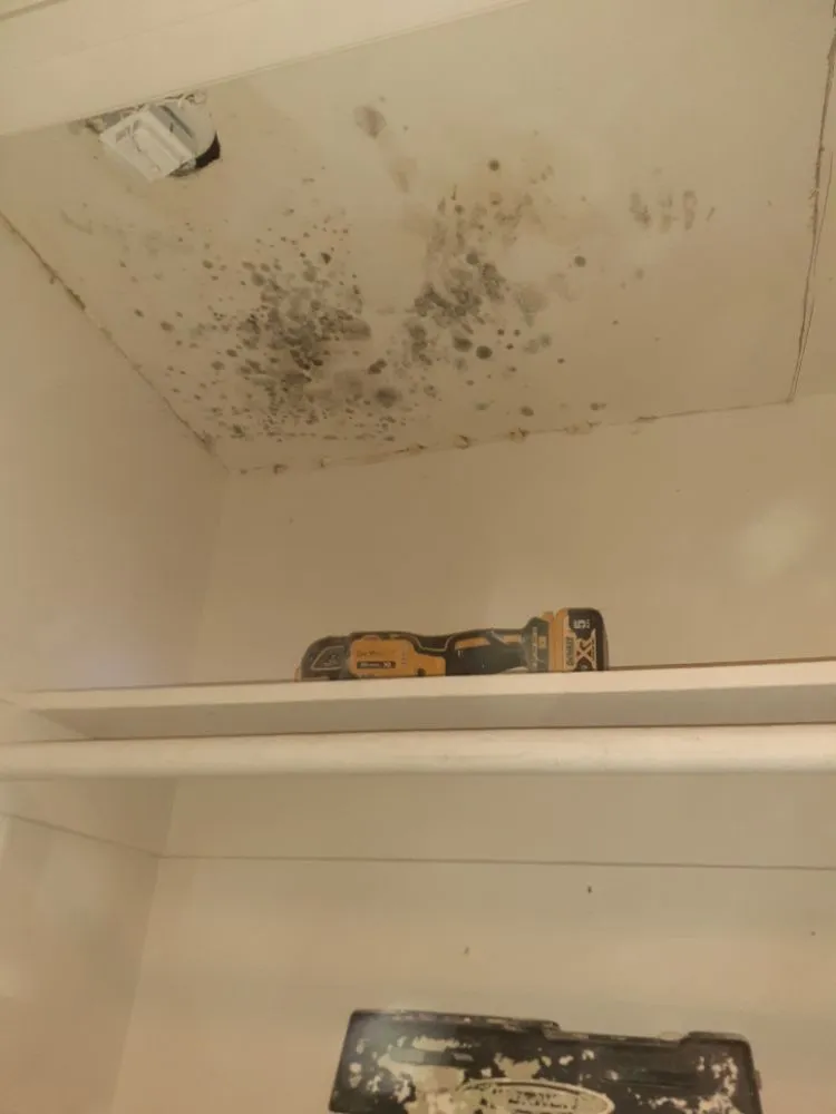 Quality emergency plumbing service in Escondido, CA - Johnny the handyman