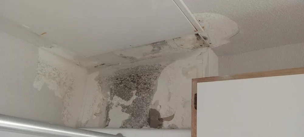 Slide of Johnny's Home Maintenance