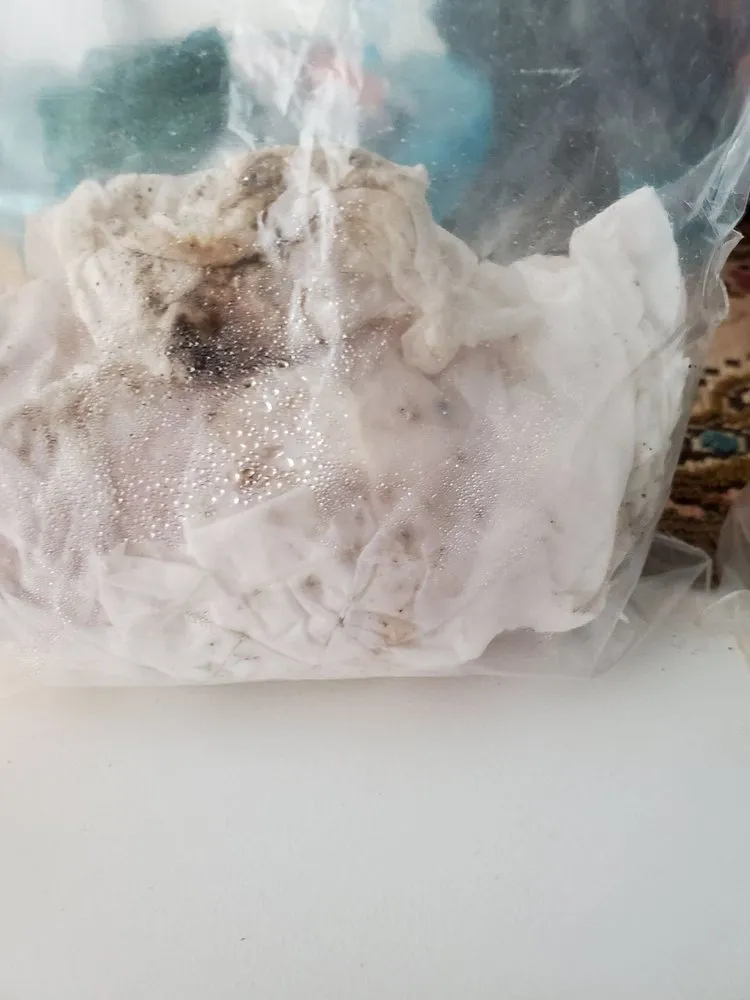 Slide of John's Plumbing & Pumps