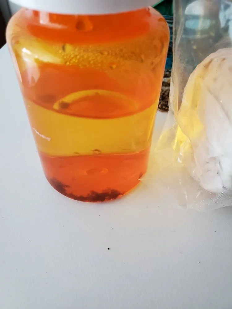 Slide of John's Plumbing & Pumps