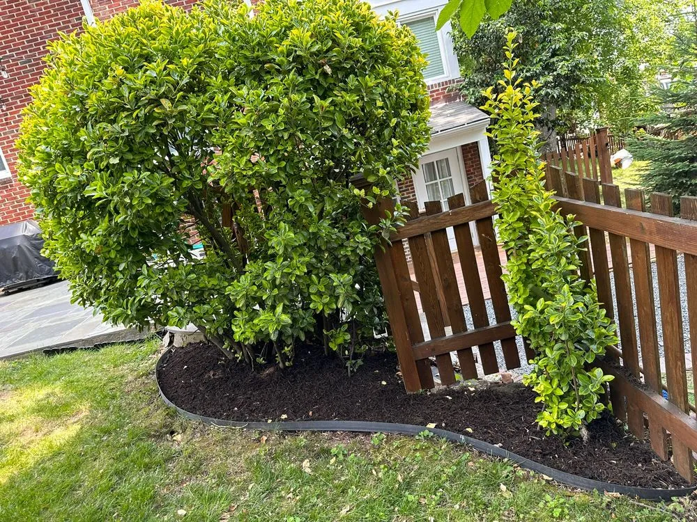 Slide of John’s Services