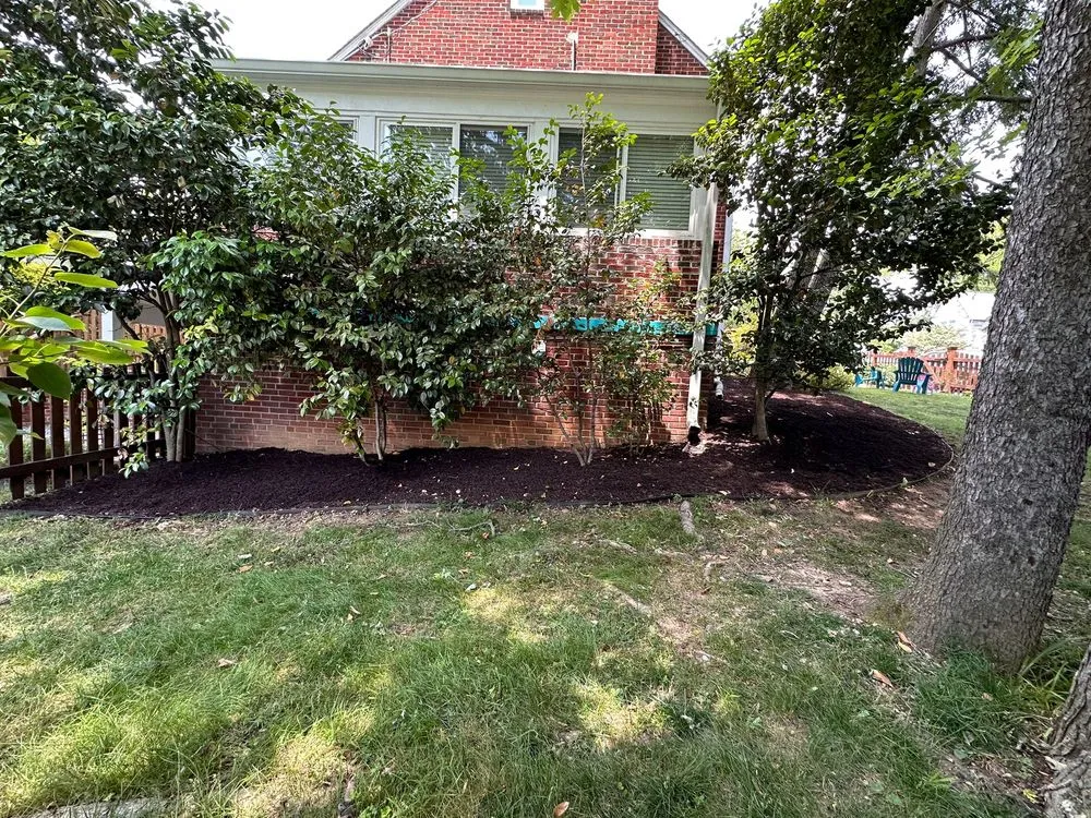 Slide of John’s Services