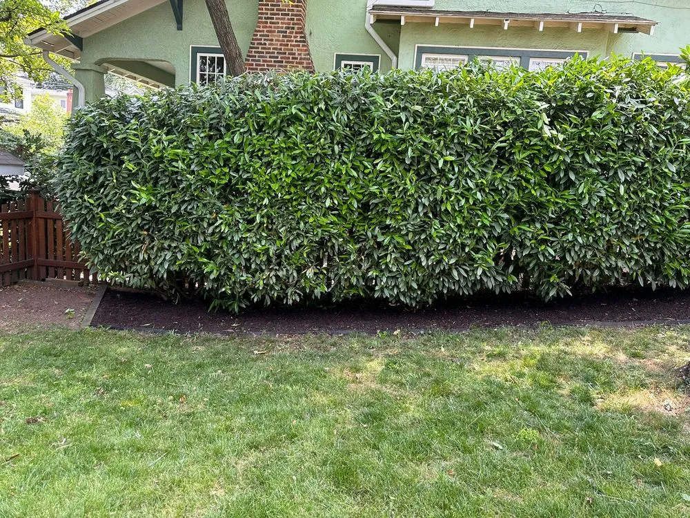 Slide of John’s Services