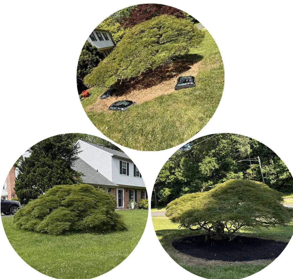 Slide of John’s Services