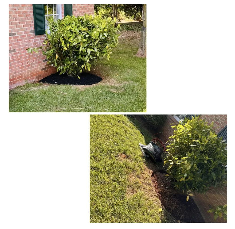 Slide of John’s Services