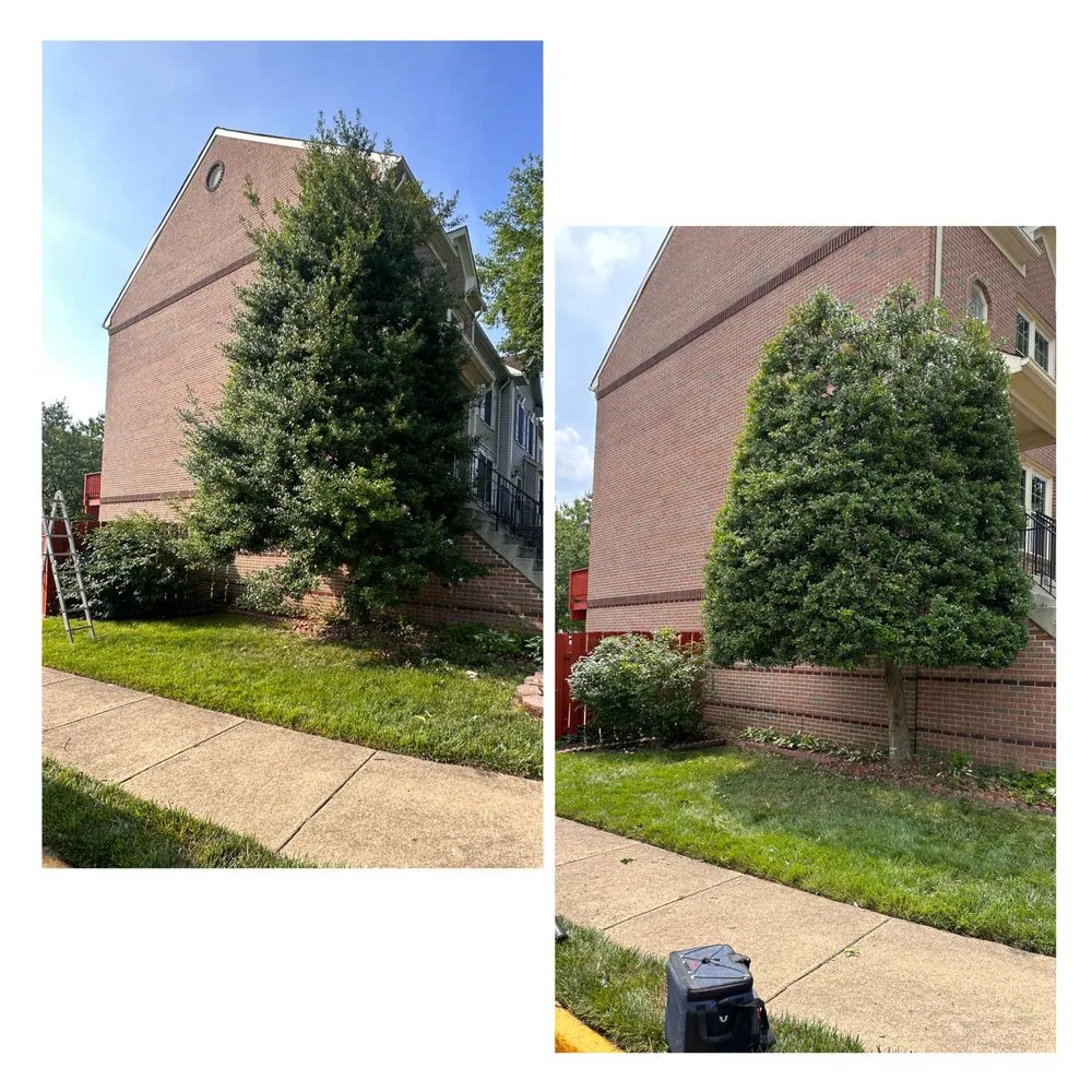 Slide of John’s Services