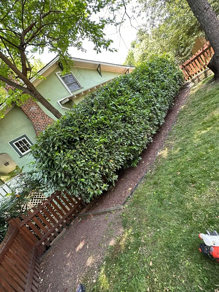 Slide of John’s Services