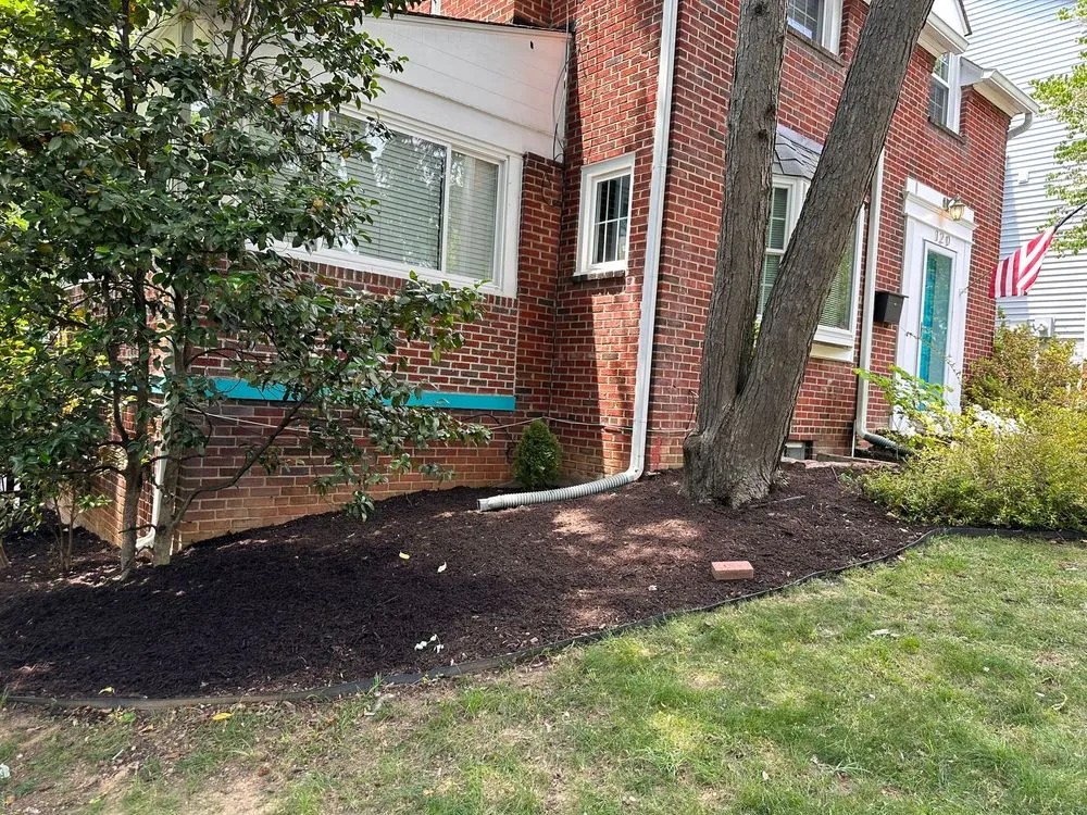 Slide of John’s Services