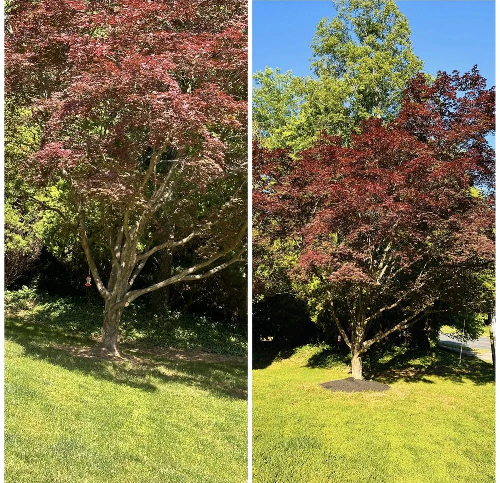 Slide of John’s Services