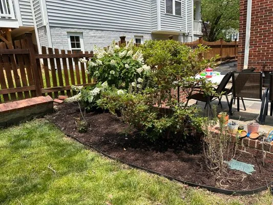 John’s Services Logo