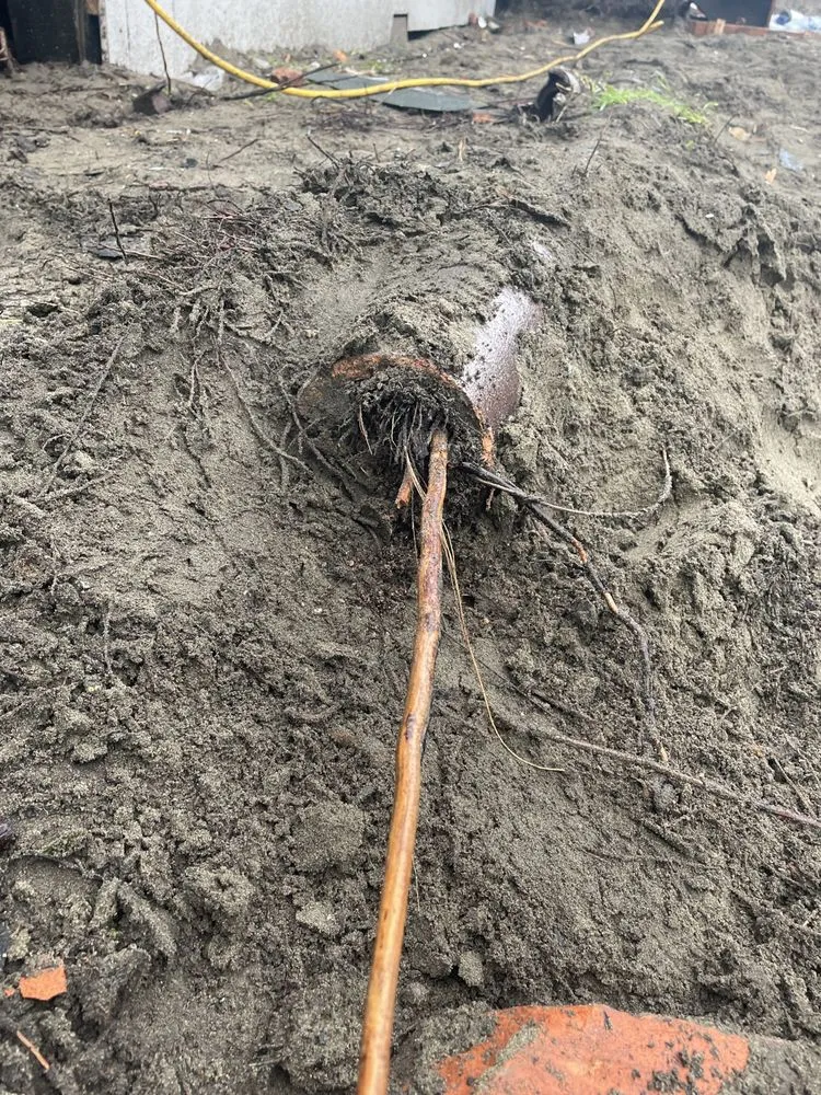 Slide of John’s Sewer Service