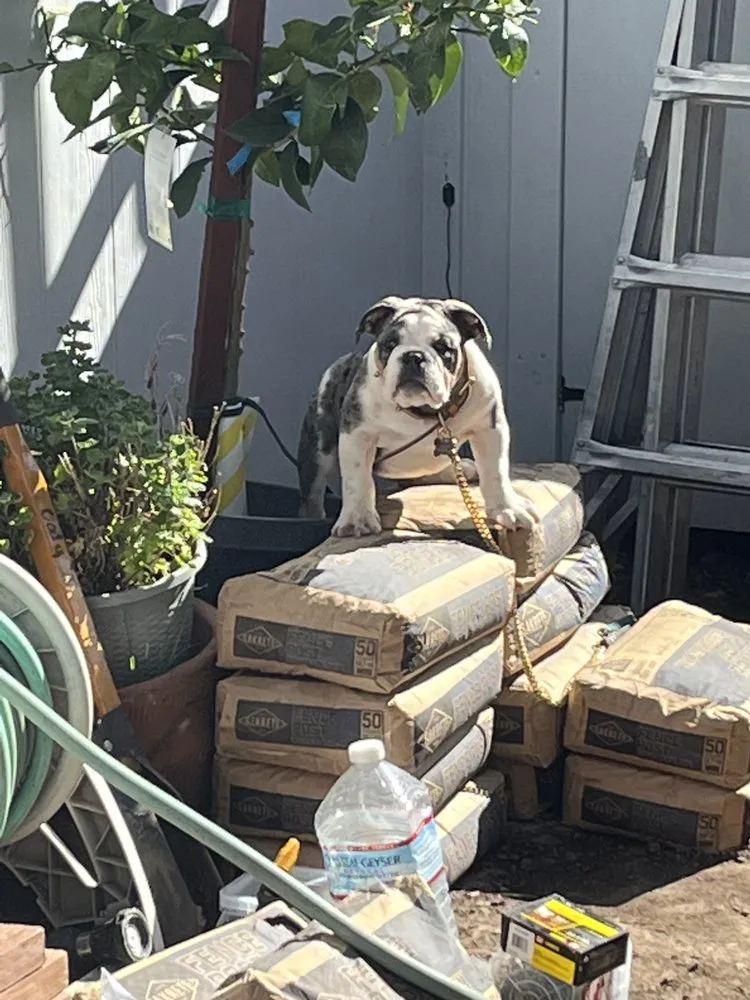 Slide of Johnson Family Home Repair & Construction