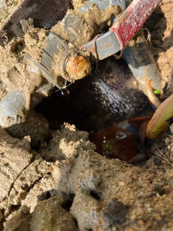 Slide of Johnson Plumbing