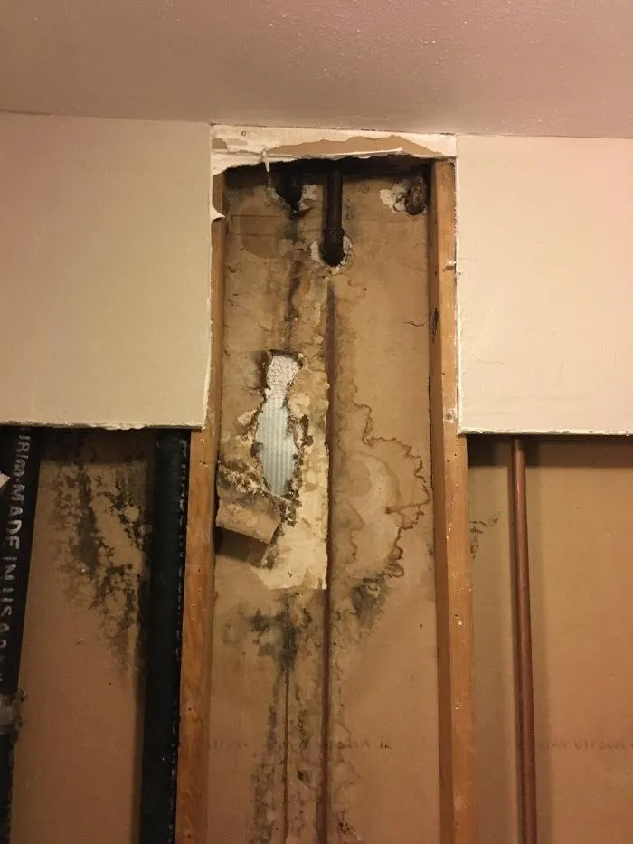 Slide of Johnson Plumbing