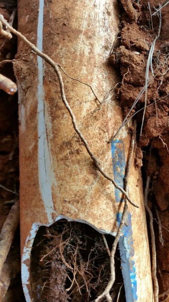 Slide of Johnson's Plumbing