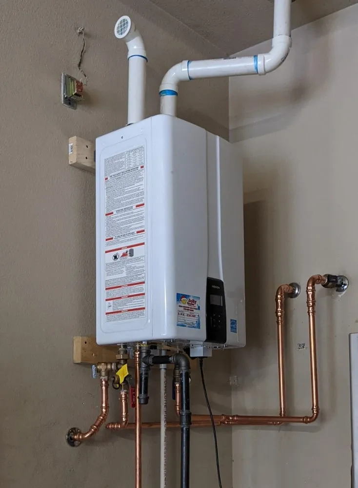 Slide of Jolly Rooter