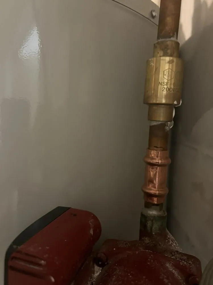 Slide of Jolly Rooter