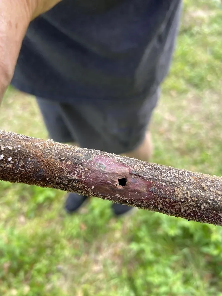 Slide of Jones Plumbing