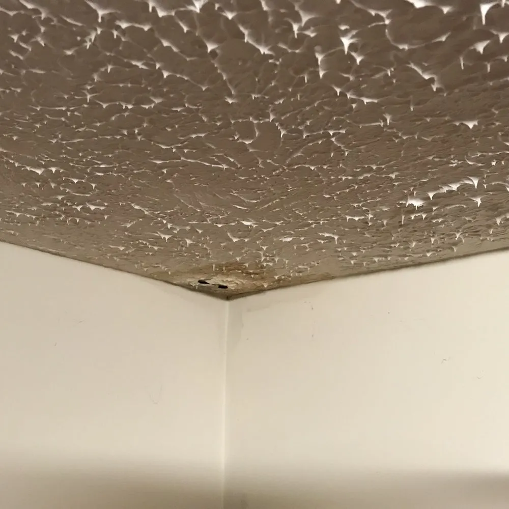 Professional pipe repair service in Mebane, NC - Jones Plumbing Services