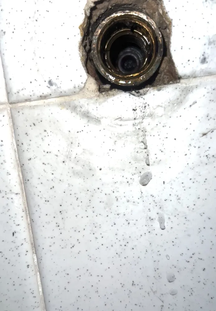 Reliable leak detection in Orlando, FL by Jorge Martinez Handyman