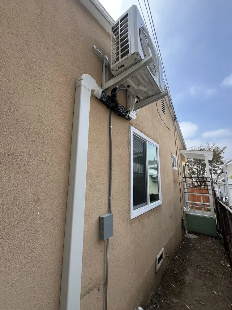 Slide of Jose Cruz Expert