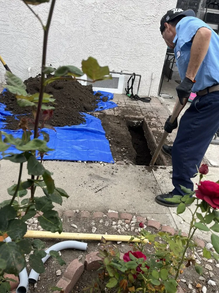 Slide of Jose Cruz Expert