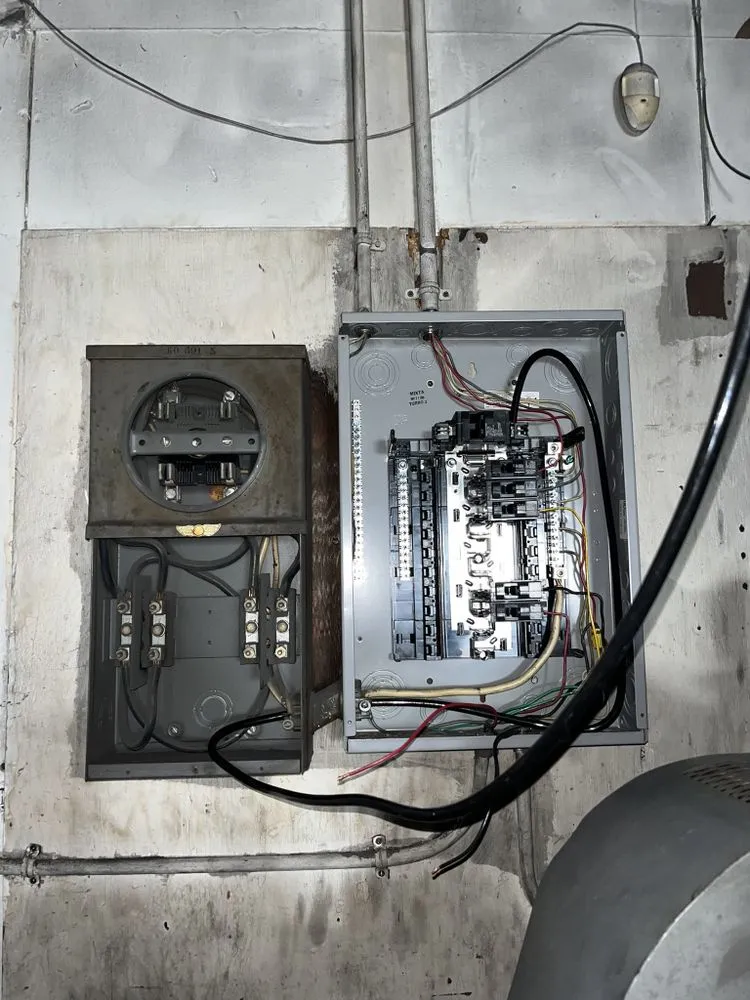 Slide of Jose Cruz Expert