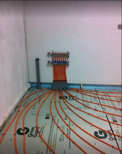 Slide of Joseph Hart