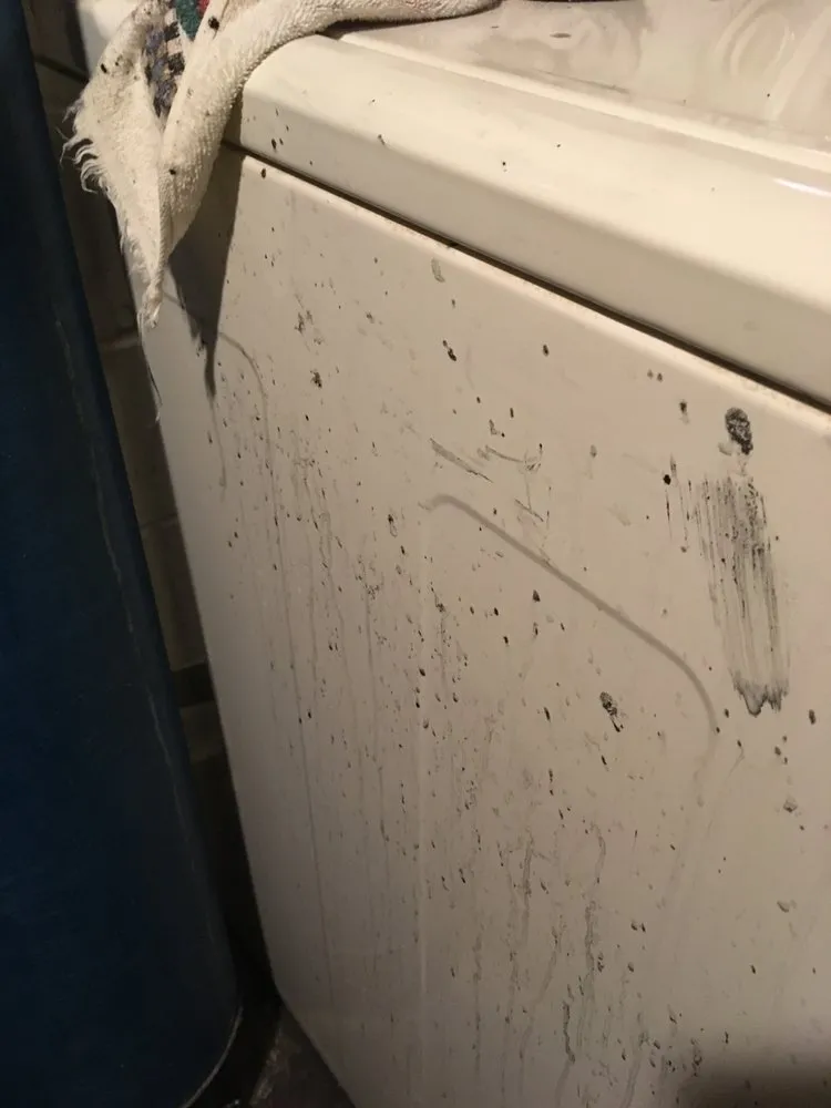 Slide of Joseph's Drain Cleaning