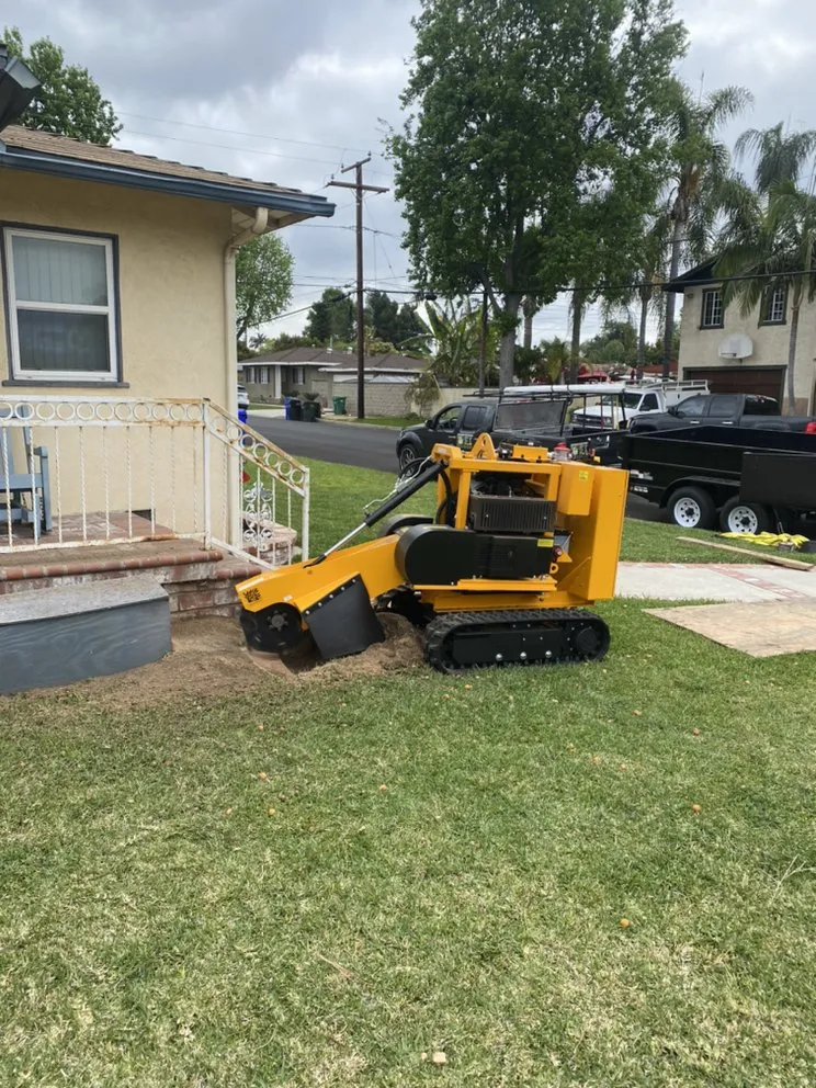 Slide of Jose's Complete Care