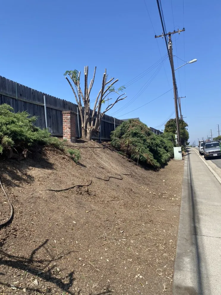 Slide of Jose's Complete Care