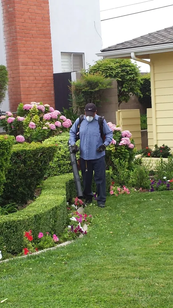 Slide of Jose's Complete Care