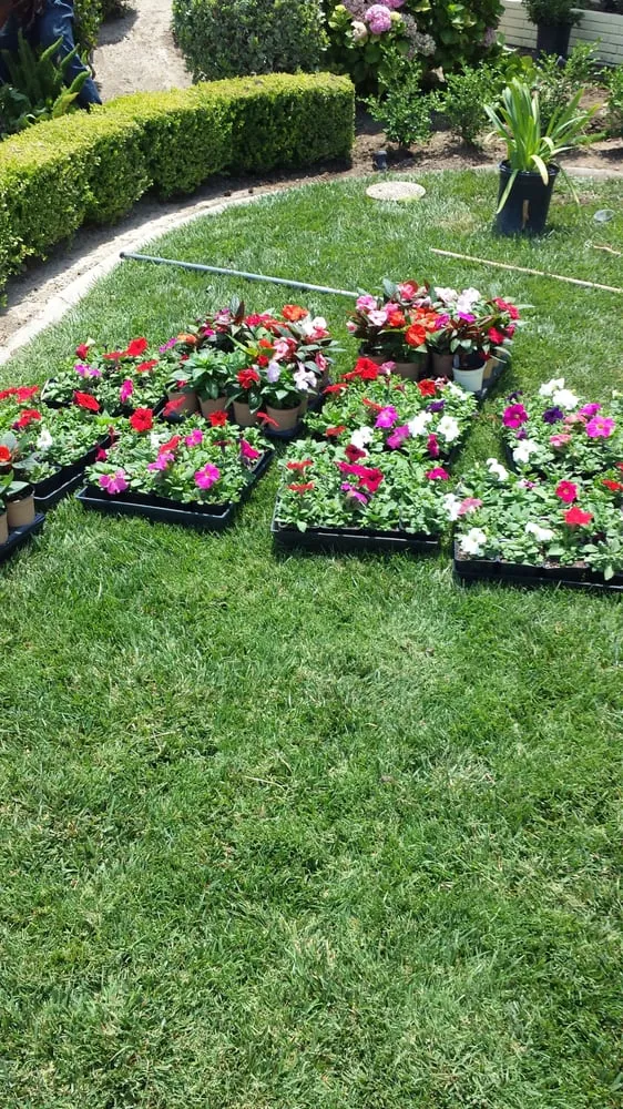 Slide of Jose's Complete Care