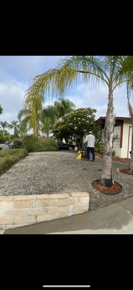 Slide of Jose's Complete Care