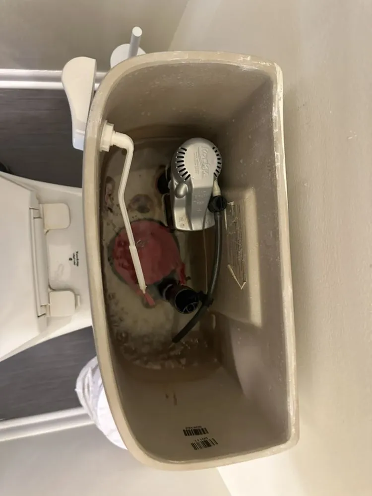 Slide of Jose’s Plumer