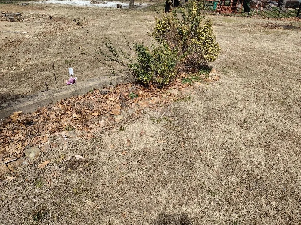 Top-rated drain cleaning service in Joplin, MO - Journeyman Industries