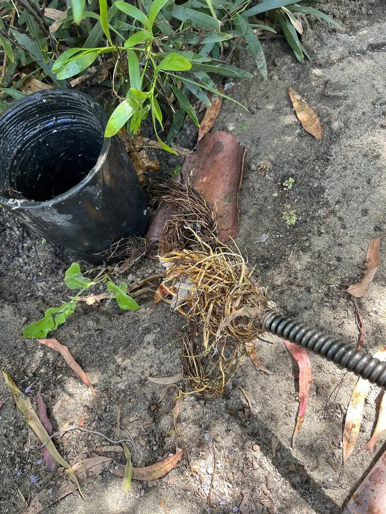 Slide of JP Drains And Plumbing